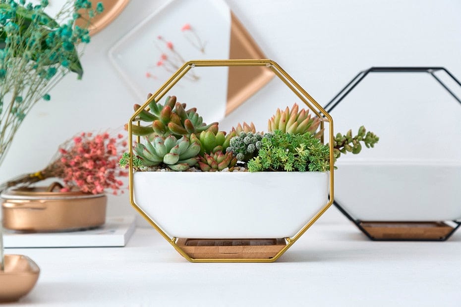 Planter Octagonal Planter | Metal Iron White Ceramic Planter Pot TipuHome