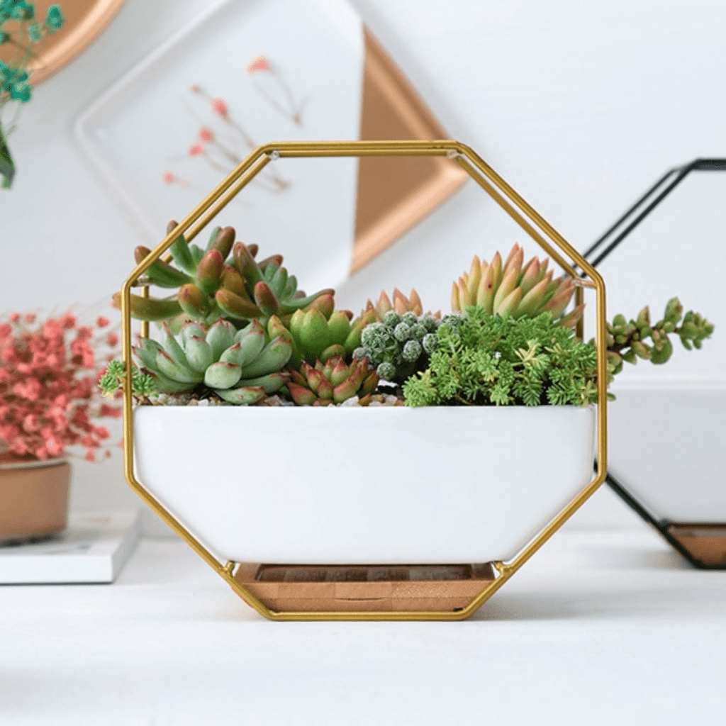 Planter Octagonal Planter | Metal Iron White Ceramic Planter Pot TipuHome